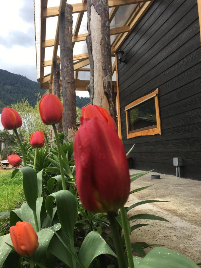Cabanas Senderos Puyuhuapi Екстер'єр фото